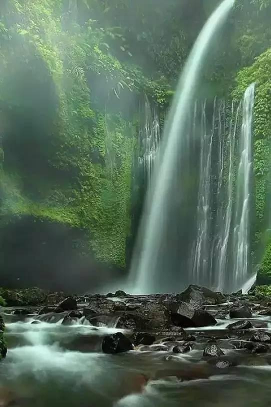 动物拼一拼