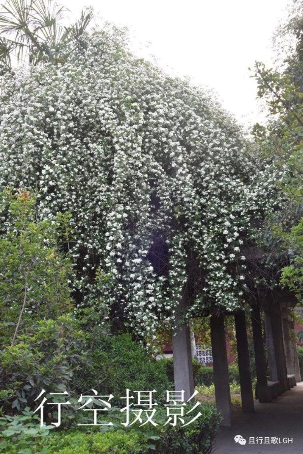 全飞秒手术怎么样?能管一辈子吗?——康晶金眼科