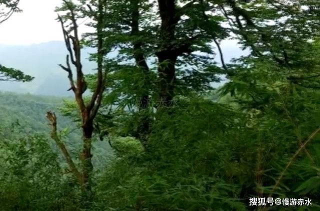 年仅2岁！重庆完成最小年龄患儿肾移植手术