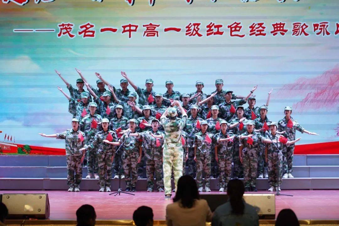 漂亮鹦鹉救援