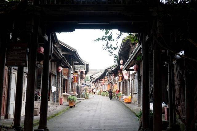 解救可爱的鸭子